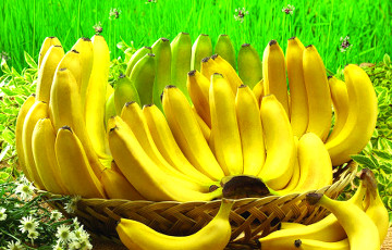 Китай поддержал Эквадор в банановой войне с Московией