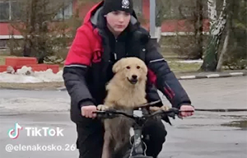 Видео пса, едущего на велосипеде по Гомелю, вызвало волну умиления в Сети