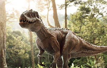 Ученые развенчали мифы о тираннозавре