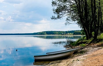 В Сети спорят о церкариозе на Нарочи