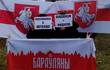 «Жыве Фландрыя!» Белорусы провели ряд акций протеста