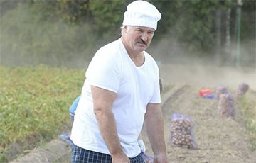 Лукашенко застраховал урожай