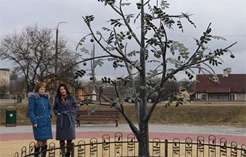 В Каменце установили памятник грецкому ореху за 12 тысяч рублей