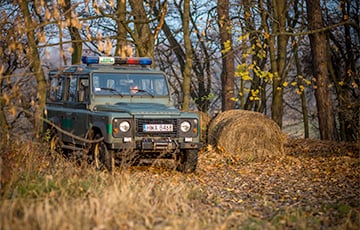 Новый рекорд: польскую границу за сутки штурмовало 739 нелегалов со стороны Беларуси