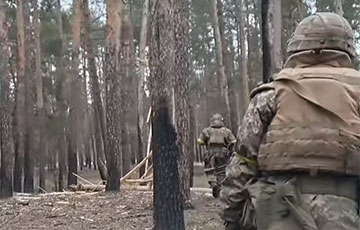 Видеофакт: Бойцы ВСУ через лес выходят на окраины Кременной