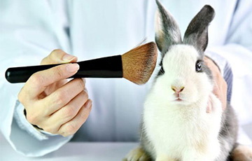 В Беларуси перестанут испытывать косметику на животных