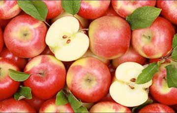 В России измельчили и закопали яблоки из Беларуси