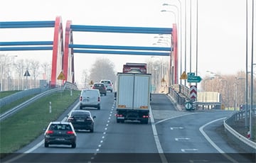 Беларусские водители сами убрали упавшее на трассу дерево