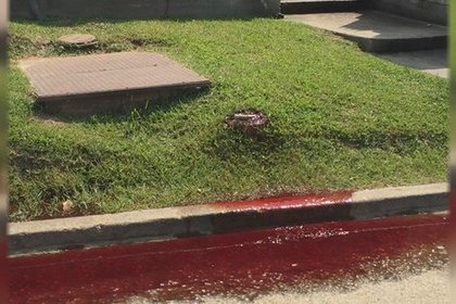 В штате Луизиана улицу залило кровью