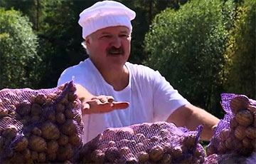 Лукашенко нашел «крайних» в пропаже картошки