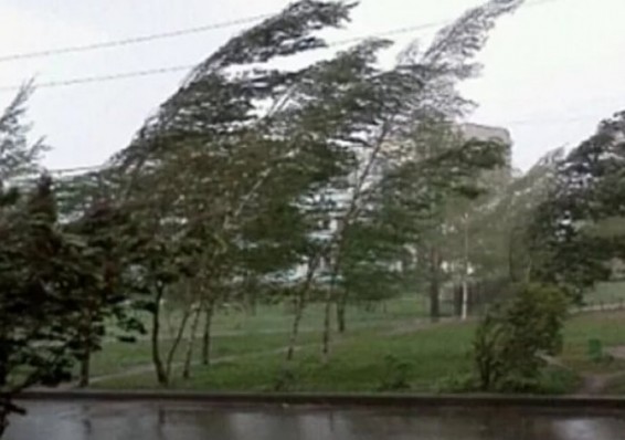 МЧС предупреждает о сильном ветре в понедельник 16 сентября