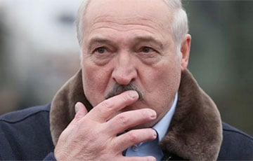 «При Лукашенко даже картошка становится редкоземельной»