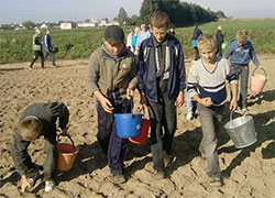 В Брестской области использовали нелегальный труд подростков