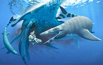 Ученые: Гигантская акула возрастом 115 миллионов лет изменила все