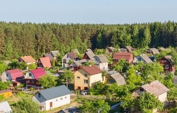 В Беларуси готовят новые изменения для дачников