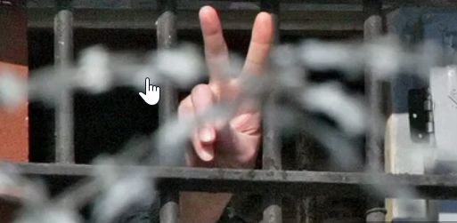 Стало известно, что Беларусь освободит много политзаключенных