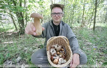 «За раз собрал 500 грибов — целую гору!»