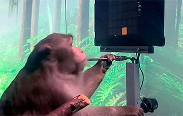 Neuralink показала, как обезьяна печатает силой мысли