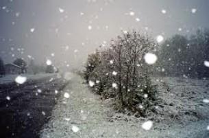 В понедельник в Беларуси ожидается мокрый снег