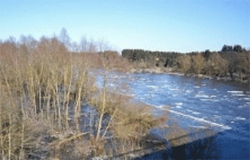В Могилевской области подтопило три участка дорог и три автомобильных моста