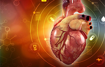 Ученым удалось создать искусственное сердце