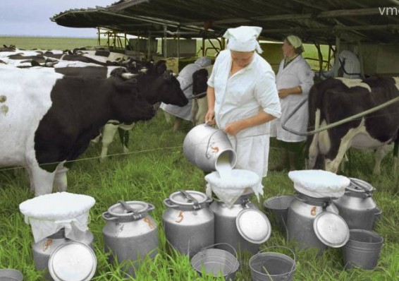МАРТ взял под контроль закупку молока переработчиками