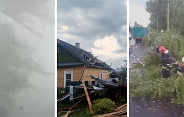 В МЧС Беларуси показали, как шквал снес кровли 16 домов и деревья
