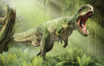 Ученые выяснили, почему тираннозавры вырастали такими огромными