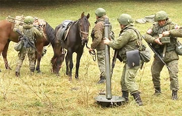 Московиты борются с «технологическим тупиком» на фронте с помощью лошадей и ослов