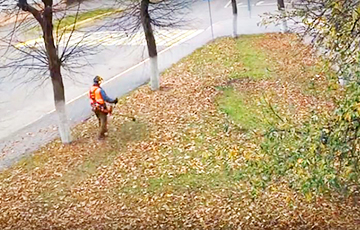 Видеофакт: В Слониме коммунальщики по осени косят листву