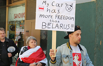 Фотофакт: «У моего кота больше свободы, чем в Беларуси»