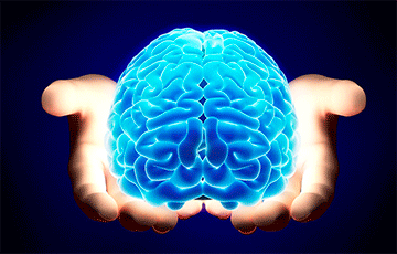 Ученые создали «клей» для мозга