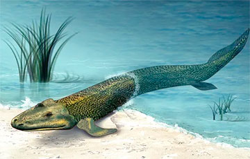 Ученые: Одно из первых животных вышло на сушу и сразу вернулось обратно в воду