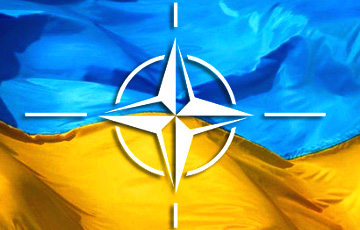 НАТО предоставила Украине статус соискателя
