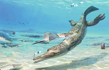 В Великобритании нашли «морского крокодила»