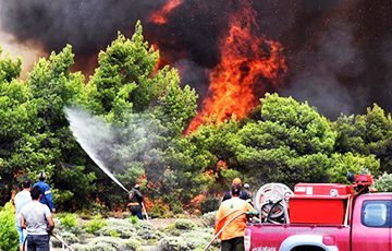 Премьер Греции взял на себя политическую ответственность за лесные пожары