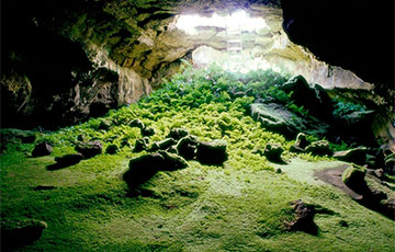 Ученые обнаружили в древних пещерах на Гавайях загадочные формы жизни