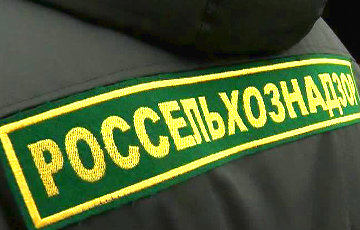 Россельхознадзор усиливает контроль за беларусскими предприятиями
