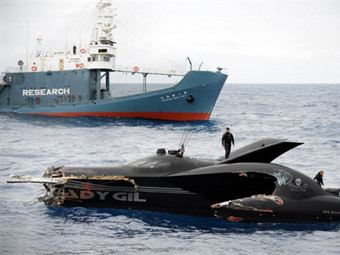 Названы виновные в столкновении экологов с китобоями