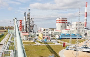 Стало известно, где в Беларуси построят новый целлюлозный комбинат