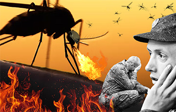 РФ отправила во все парламенты мира доклад о боевых комарах Украины