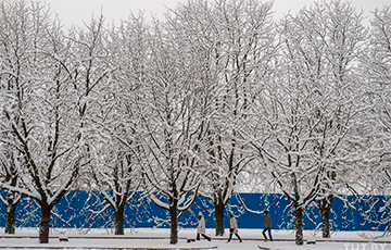 Беларусов ждут сильные снегопады