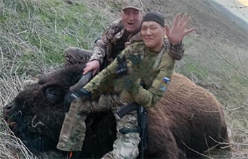 Московиты убили и расчленили зубра в заповеднике Аскания-Нова на Херсонщине