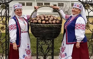 Новый агротрэш: в Бобруйском районе поставили памятник картофелю