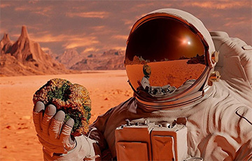 Ученые предлагают астронавтам на Марсе жить в домах из картофеля