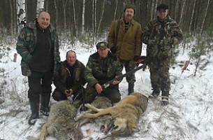 Охотники отстрелили нападавших на людей волков