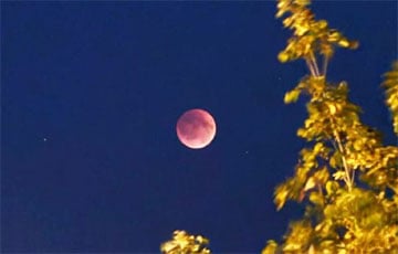 Беларусы прямо сейчас наблюдают полное лунное затмение