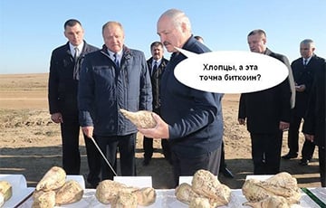 Как Лукашенко собирается залезать в криптовалютные кошельки белорусов