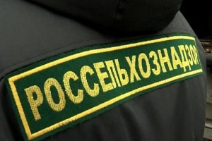 Россельхознадзор опровергает белорусских чиновников
