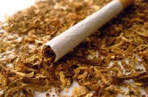 На Беларусь приходится свыше 10 процентов контрабанды табака в Евросоюз